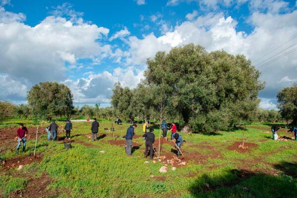 Aule-verdi_xfarm_landart_andreco